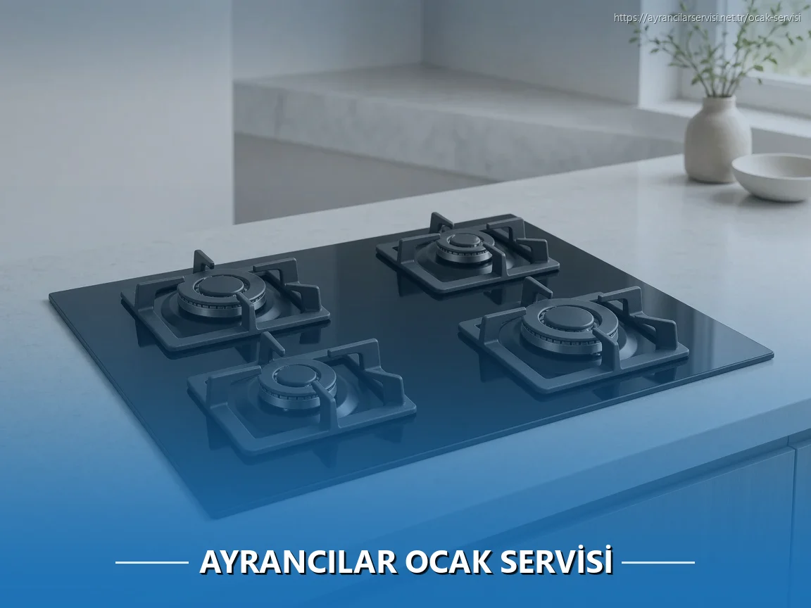 Ayrancılarlarlar Ocak Servisi