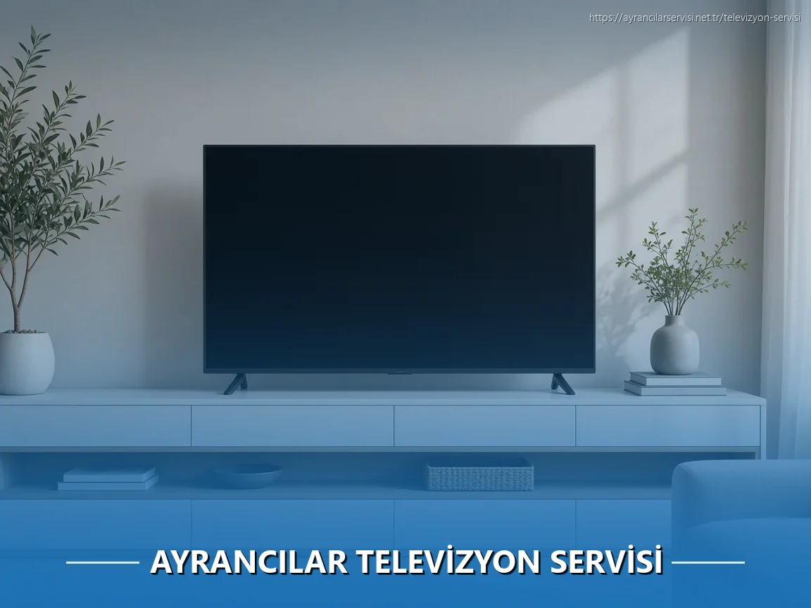 Ayrancılarlarlar Televizyon Servisi