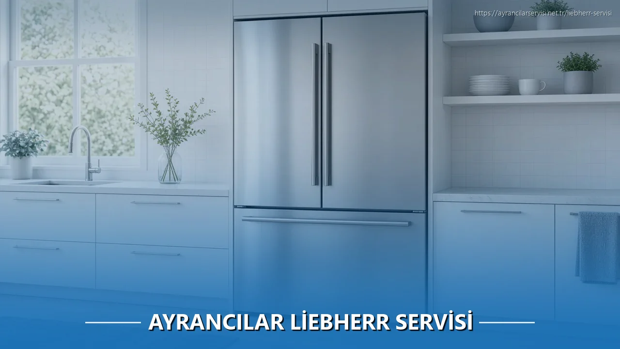 Ayrancılarlar Liebherr Servisi